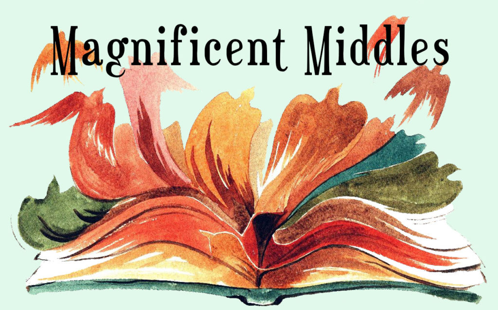 magnificent middles writing course by david farland